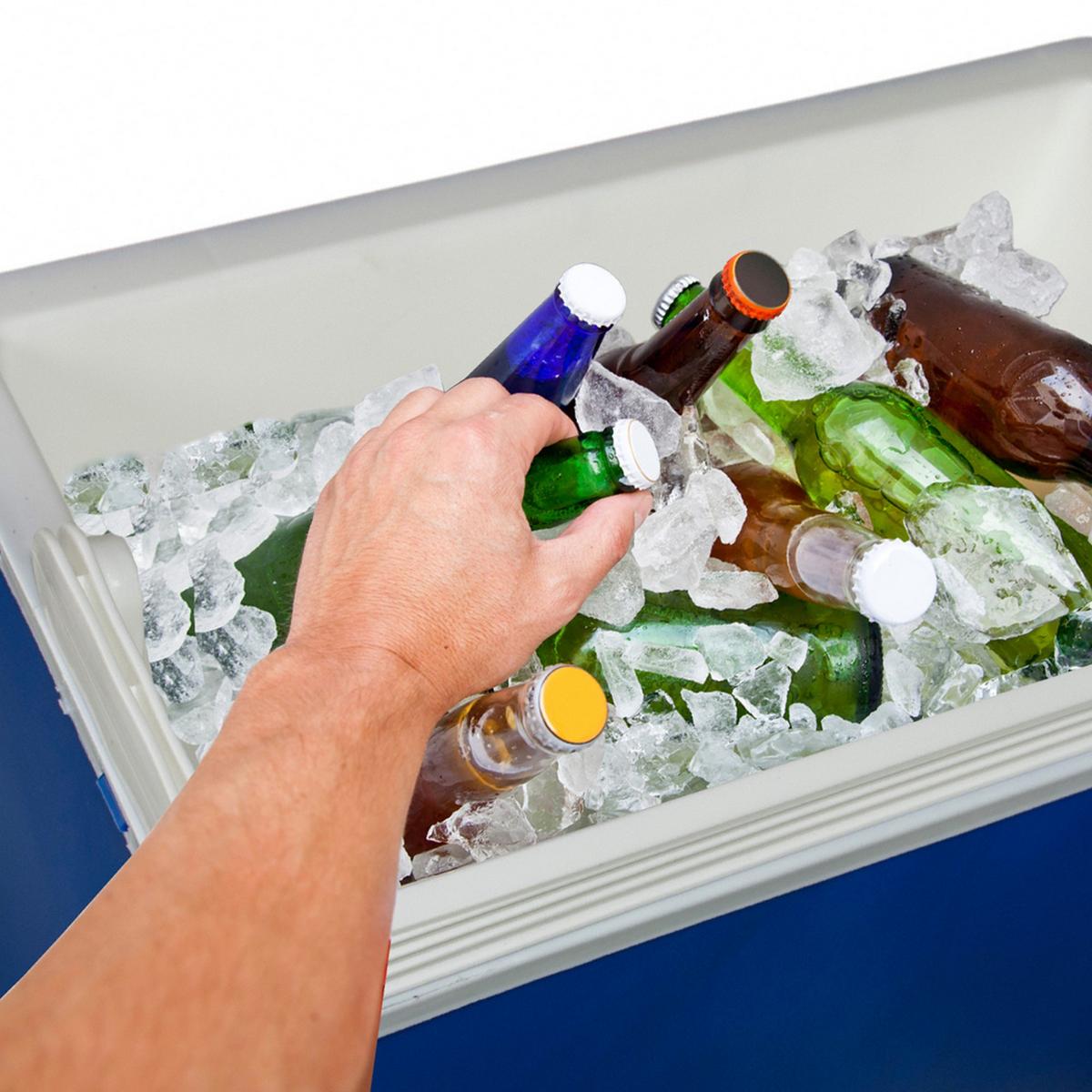 Frigo portatile da mare, con presa da 12V/230V, 24 litri