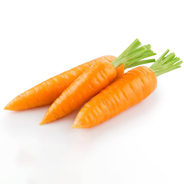 Semi di carota "Chantenay royal 2 " piante per orto e giardino