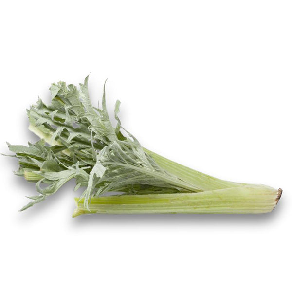 Semi di cardo "Plein blanc inerme" piante per orto e giardino