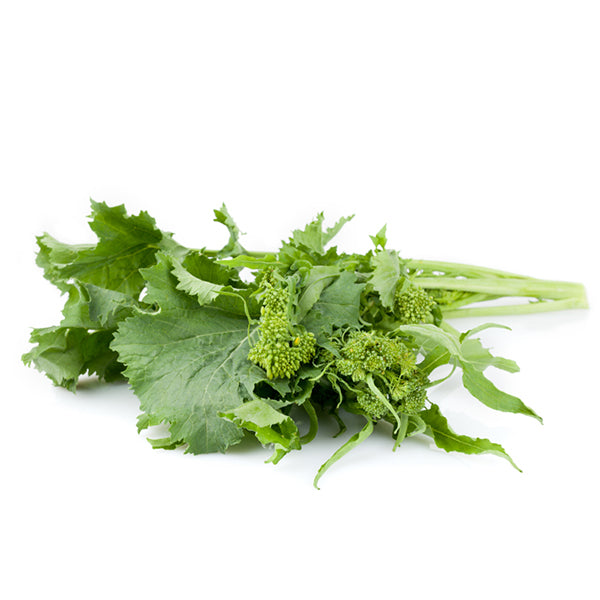 Semi di cima di rapa "Leccese novantina" piante per orto e giardino