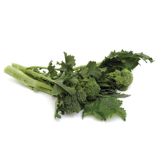 Semi di cima di Rapa "Fasanese" piante per orto e giardino