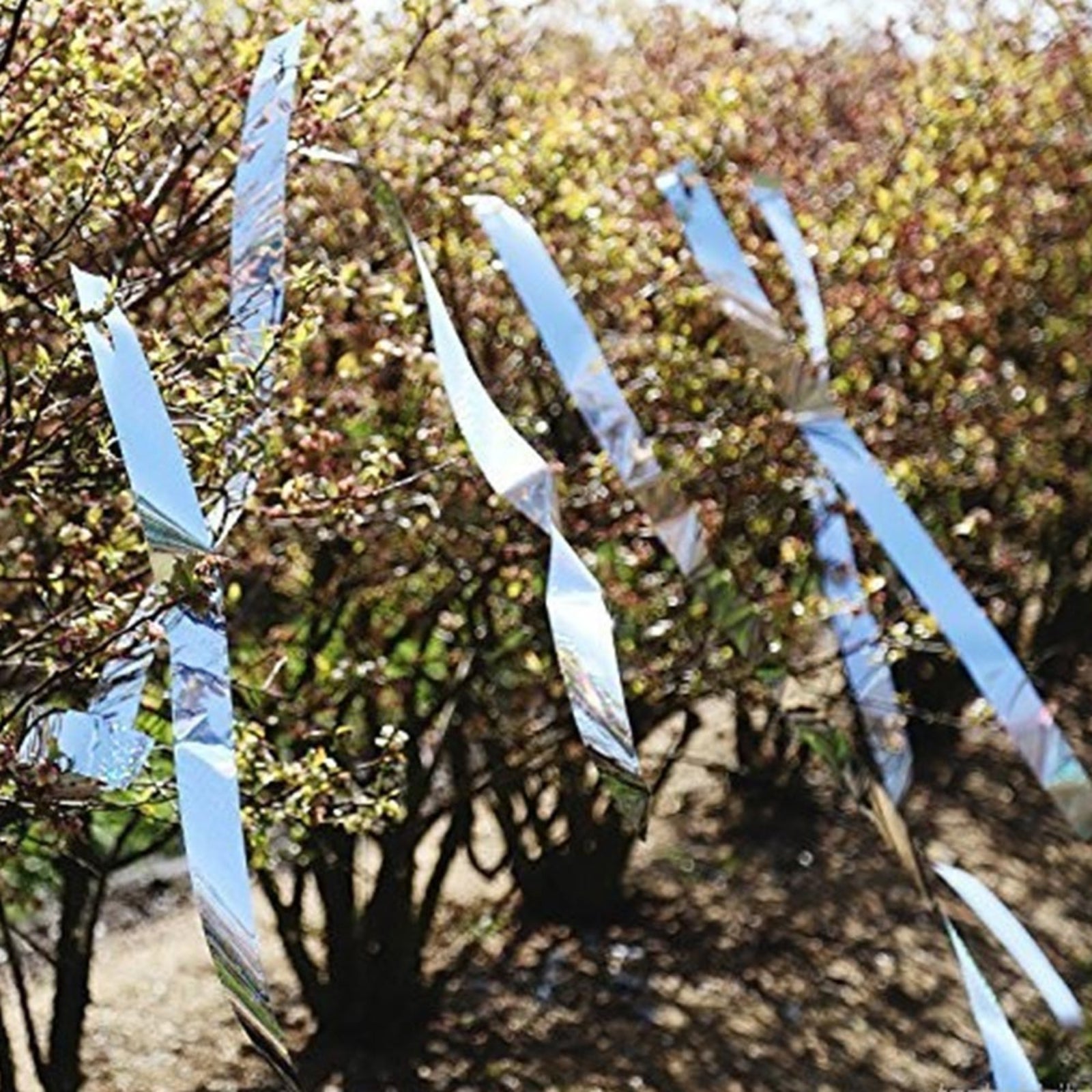 Nastro dissuasore bimetallico per uccelli e piccioni 100 mt