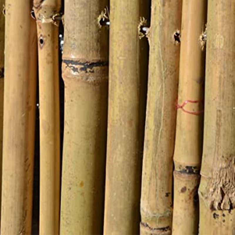 Arella in canne di bamboo naturale Ø 16 mm, stuoia ombreggiante per recinzioni