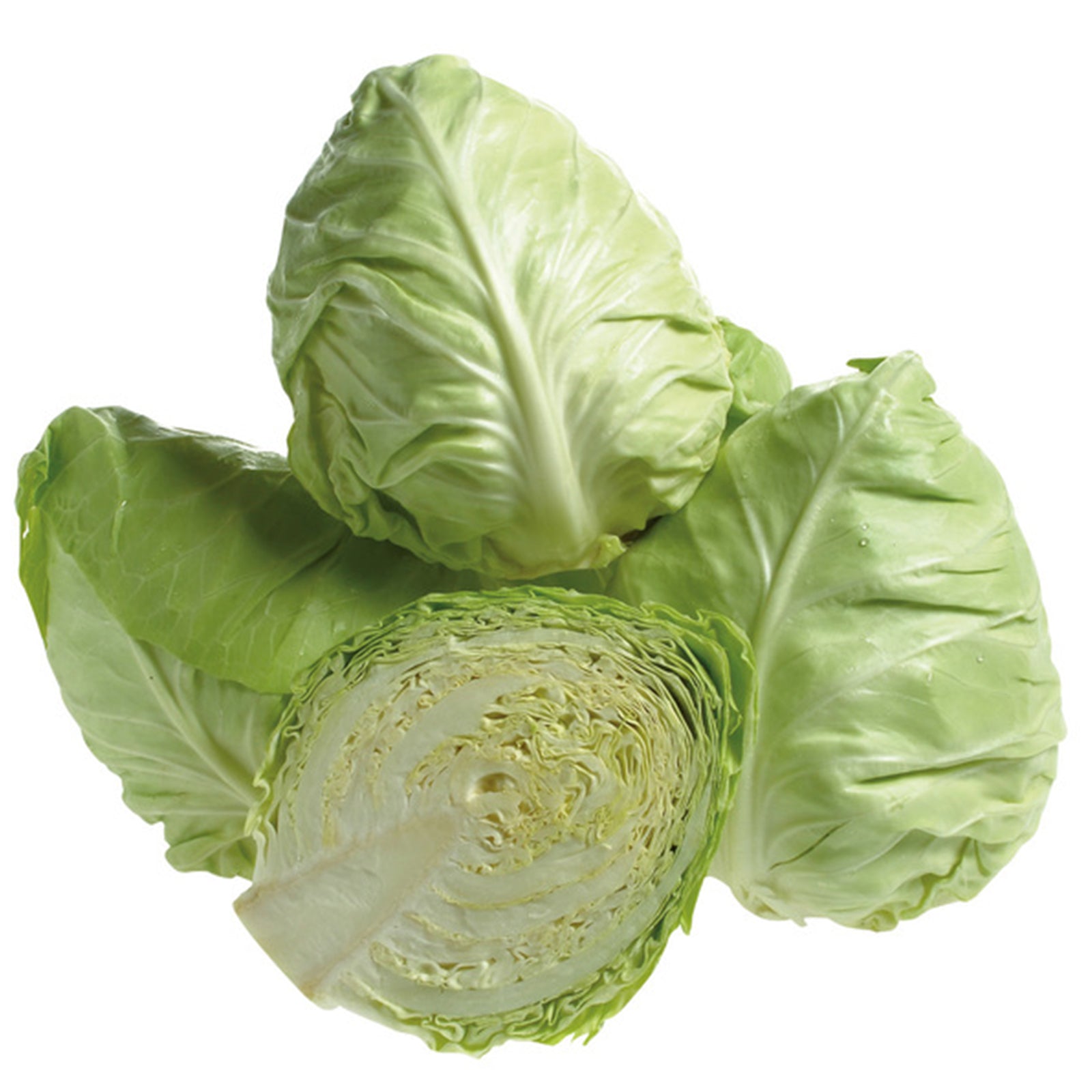 Semi di Cavolo Cappuccio Cuor di bue grosso piante per orto e giardino