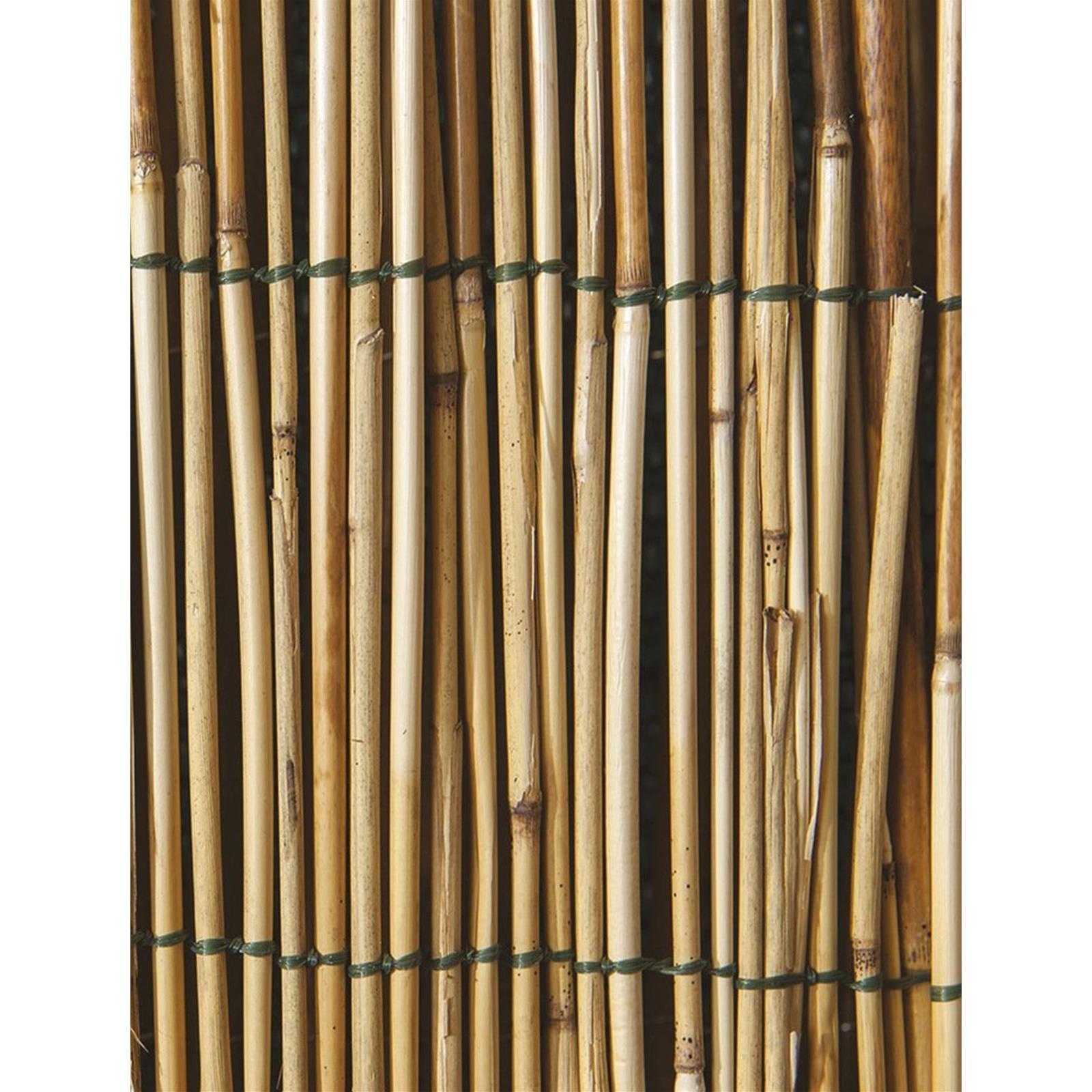 ARELLA ARELLE CANNA CANNE BAMBU STUOIA CANNUCCIATA MT 100 X 300 CANNETO STUOIE