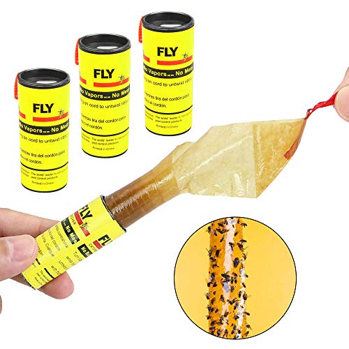 Strisce adesive per mosche e moscerini "Fly Catch" esca insetticida a rotoli uso interno ed esterno