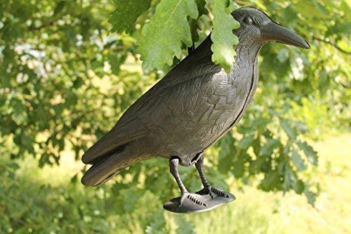 Spaventa passeri repellente per giardino e balcone Figura a forma di corvo