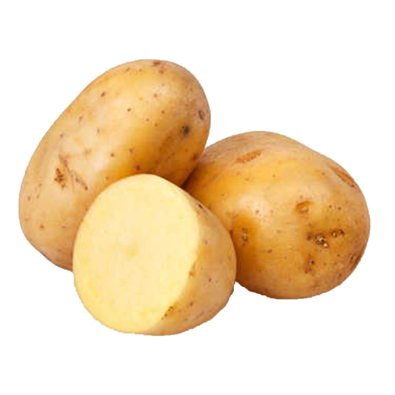 Patate da seme olandesi kg 25 pasta gialla al alto rendimento riproduttivo (25 kg - monalisa)