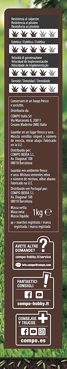 Seme "Prato in Ombra" tappeto erboso per zone ombreggiate da alberi e piante