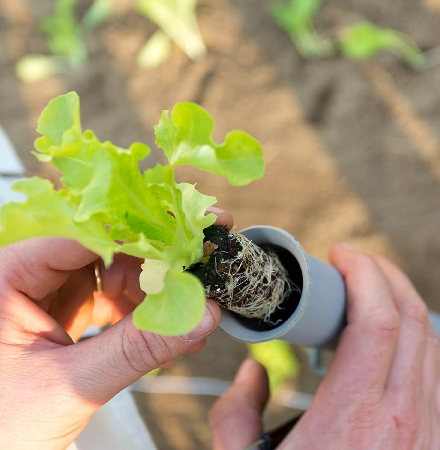 Trapiantatore "Multiplanter" manuale per tuberi e piantine "Made in Italy"