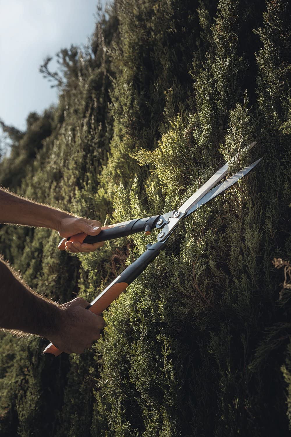 Forbicione professionale a cremagliera per siepe con lama retta da 63 cm