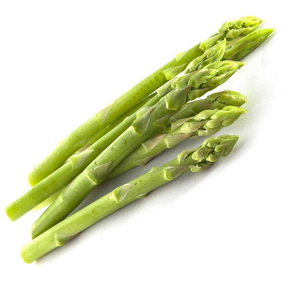 Semi di asparago "D'argenteul" piante per orto e giardino