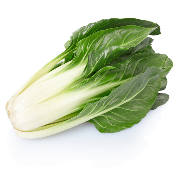 Semi di Bietola Foglia liscia verde invernale piante per orto e giardino