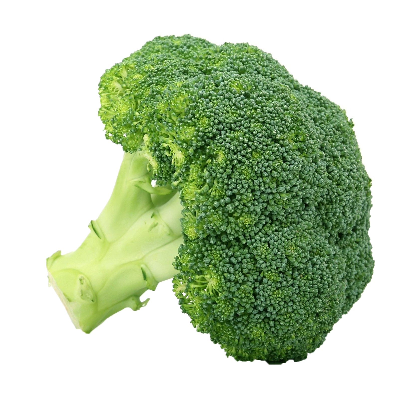 Semi di Cavolo Broccolo ramoso Calabrese tardivo Di Marzo piante per orto e giardino