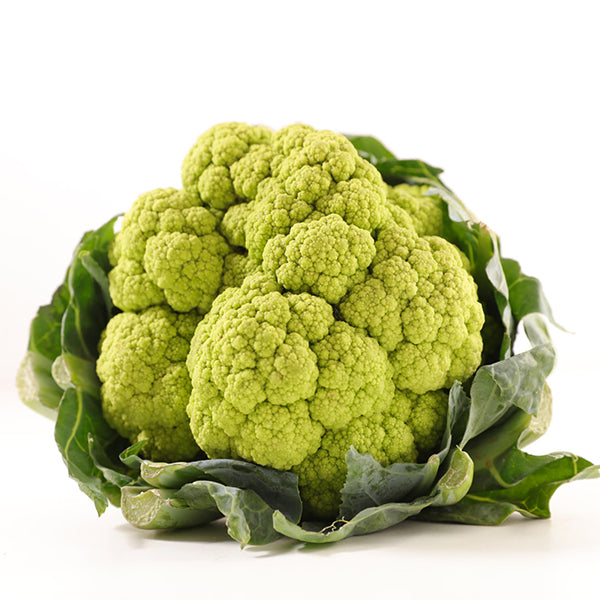 Semi di cavolfiore verde di Macerata "Barese" piante per orto e giardino