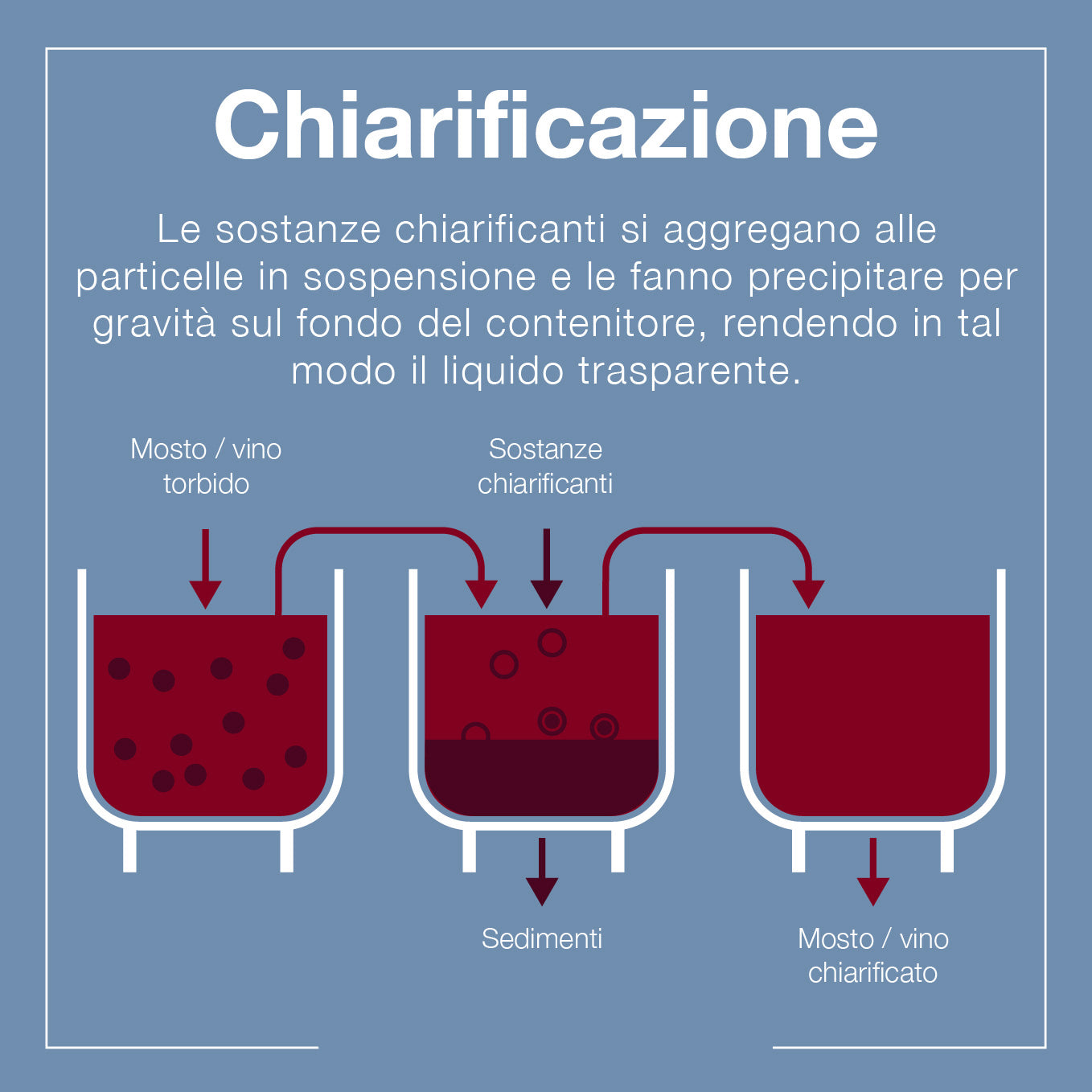 Chiarificante per vino rosso e bianco "Enoclar" per mosti torbidi 100 grammi