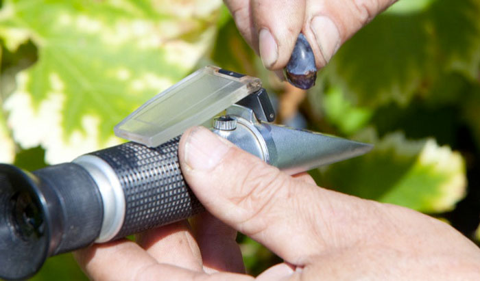 Rifrattometro a 3 scale con corpo in metallo per determinare grado zuccherino dei liquidi