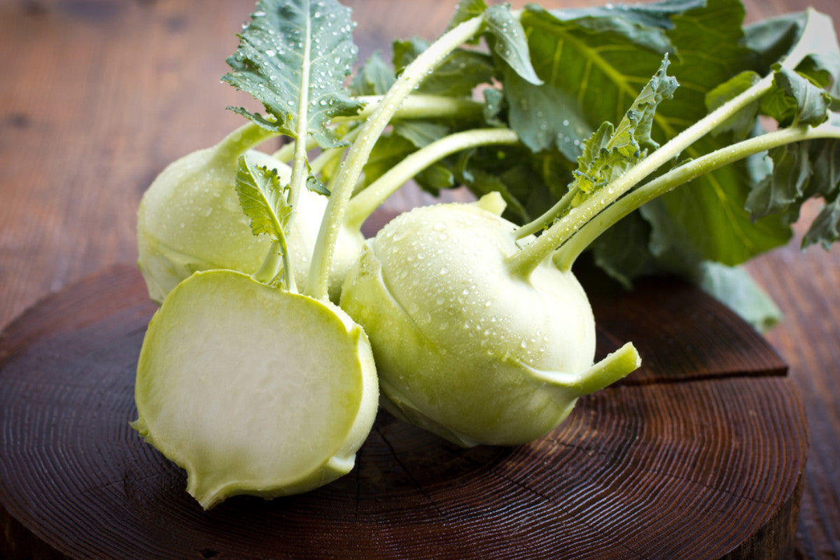 Semi di Cavolo Rapa di Vienna bianco per orto e giardino
