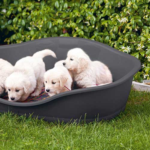 Lettino aperto per cani e gatti con bordo ergonomico "Sleeper"