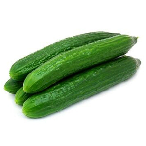 Semi di cetriolo "Marketmore 76" piante per orto e giardino