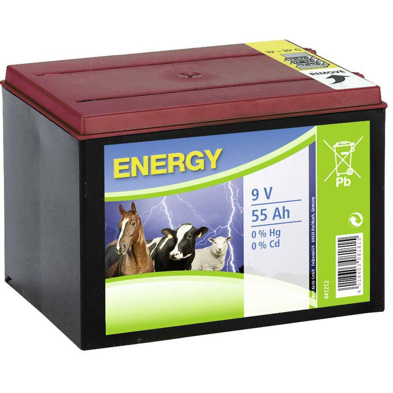 Batteria per recinti elettrici per mucche e cavalli 9V a secco Zinco-Carbone