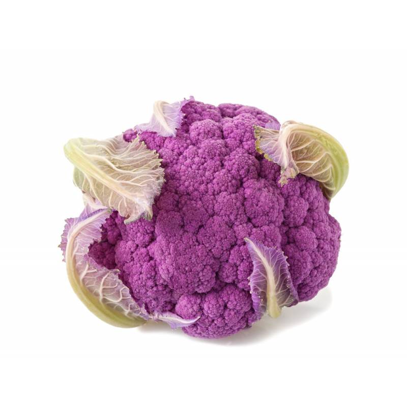 Semi di cavolfiore violetto di Sicilia di marzo piante per orto e giardino