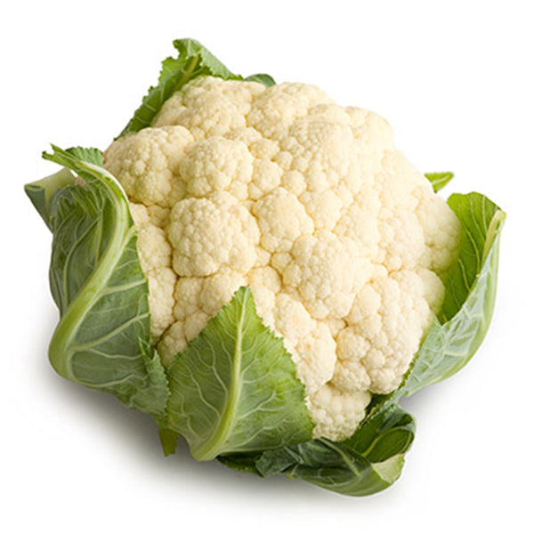 Semi di cavolfiore precoce  "Brassica oleracea" di Toscana piante per orto e giardino