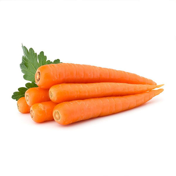 Semi di carota "Touchon" piante per orto e giardino