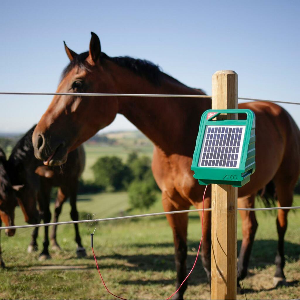 Elettrificatore recinto elettrico con pannello solare per Bovini ed Equini "S250" 12 V