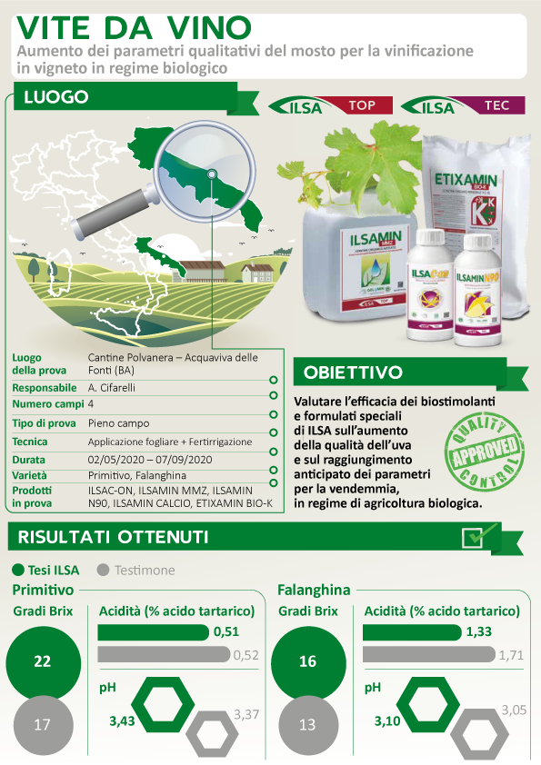 Concime organico azotato "ILSAMIN MMZ" a base di Magnesio e Manganese per frutteti e vigneti 1 lt