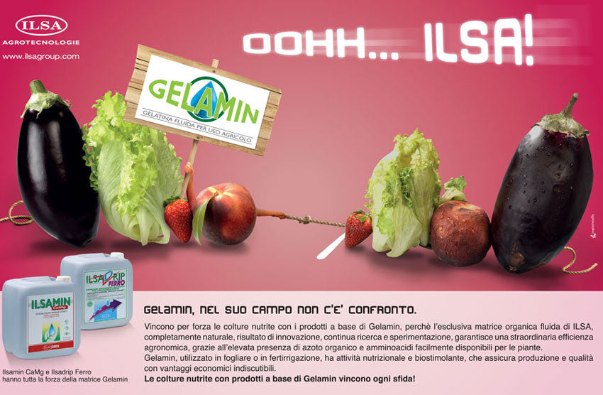 Concime fogliare "ILSA Calcio" a base di Calcio per frutteti e ortaggi 1 lt
