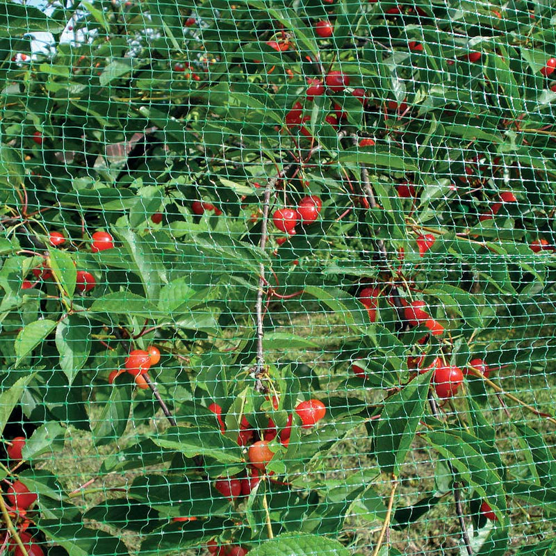 Rete anti uccelli a maglia quadrata per orti e frutteti in Nylon anti UV 1,5 x 1,5 mm