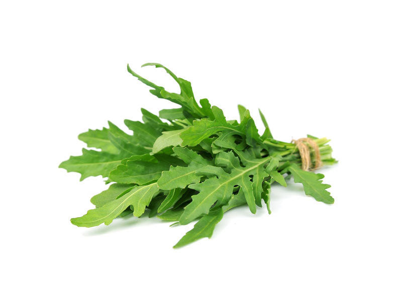 Semi di rucola "Selvatica" piante per orto e giardino coltivazione domestica e professionale