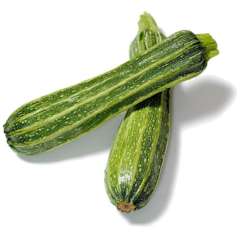 Semi di zucchino "Striato pugliese" piante per orto e giardino coltivazione domestica e professionale