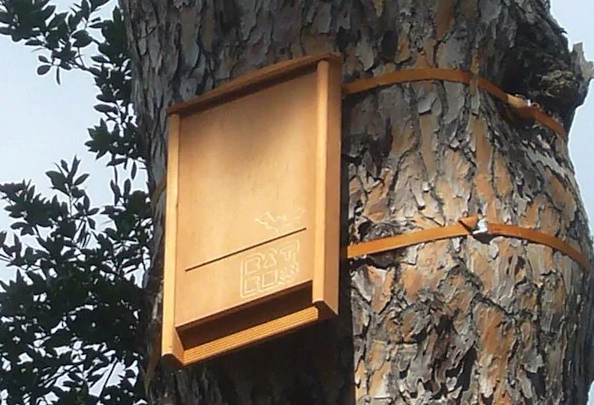 Casetta in legno rifugio per pipistrelli antizanzare naturale h 67 cm