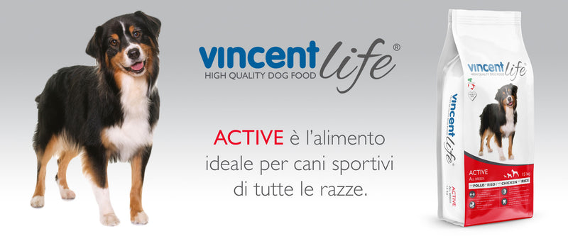 Crocchette Vincent Life Active 15 kg per cani Sportivi a base di Pollo, verdure e cerali